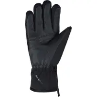 Viking Paganella Gore-tex Gloves Noir 6 Femme