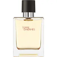 Hermès Paris Terre D'EAU DE TOILETTE VAPORISATEUR 50 ML