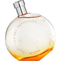 Hermès Paris - Eau Des Merveilles Eau De Toilette - 100 ML