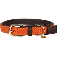 Kentucky Nylon Plaited Dog Collar Orange 36-42 cm