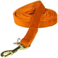 Kentucky Velvet Dog Leash 15 Mm Orange 120 cm