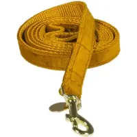 Kentucky Velvet Dog Leash 15 Mm Jaune 120 cm