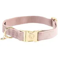 Kentucky Velvet Dog Collar Rose 36-52 cm