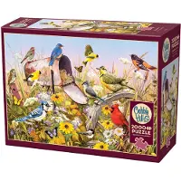 Cobble Hill Puzzle Field Song 2000 Teile