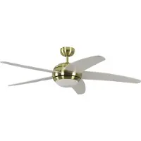 Pepeo Ventilateur De Plafond Laiton Melton, Télécommande Incluse Blanc 13422010132_V2 Ailes