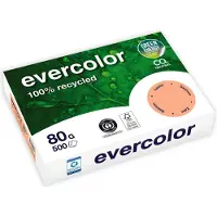 Clairefontaine Farbiges Kopierpapier EVERCOLOR, DIN A4, 80 g/m², lachsrosa, 1 Paket = 500 Blatt