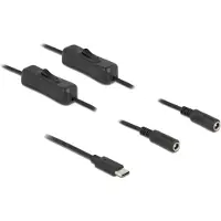 DeLOCK Câble USB Type-C vers 2 x DC 5,5 x 2,1 mm, 1 m -