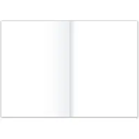 Staufen Papier pour chancellerie STYLE 80 g/qm blanc (250 feuilles, 80 g/m²)