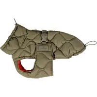 Kentucky Winter Pina Dog Jacket Vert 37-42 cm