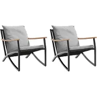 vidaXL Chaises de jardin avec coussins 2 pcs. noir acier