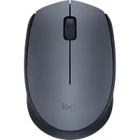 Logitech Souris M170 (910-004642)