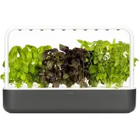 Click & Grow Smart Garden 9 - Gris foncé