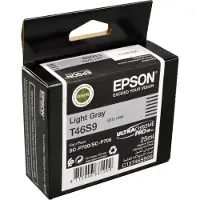 Epson T46S9 - Gris clair - Cartouche d'encre