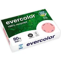 Clairefontaine Farbiges Kopierpapier EVERCOLOR, DIN A4, 80 g/m², rosa, 1 Paket = 500 Blatt