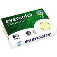 Clairefontaine Farbiges Kopierpapier EVERCOLOR, DIN A4, 80 g/m², hellgelb, 1 Paket = 500 Blatt