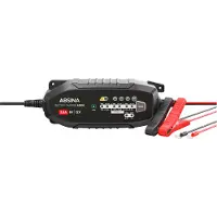 Absina 6V 12V 12,8V Chargeur plomb/LiFePO4 8 étapes 3,8A