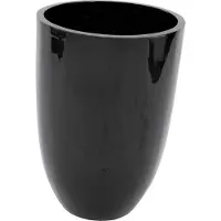 Europalms LEICHTSIN CUP-69, noir, brillant