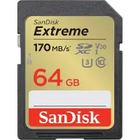 SanDisk Extreme Sdxc 64Gb 170/80 Mb/S Uhs-I U3 Memory Card (Sdsdxv2-064G-Gncin)