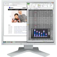 Eizo S1934 FlexScan (1280 x 1024 pixels, 19"), Moniteur, Gris