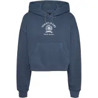 Tommy Hilfiger Dw0dw20311 Hoodie Bleu L Femme
