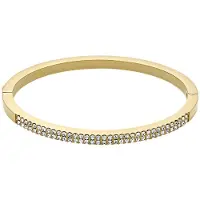 Fossil Bracelet 'Ellis' or / transparent