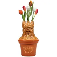 Half Moon Bay Harry Potter - Mandragonne - Pot De Fleurs / Vase De Table