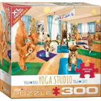 Eurographics Yoga Studio XL 300 pièces