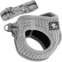 Springos Harnais pour chien Harnais avec laisse L Rembourré pour chiens chats Double fermeture Facile à mettre Laisse pour chien avec mousqueton