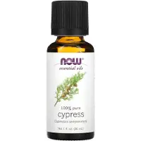 Now Maintenant les huiles essentielles d'huile de cyprs quilibrant l'aromathrapie Scent vapeur distille 100% Cap
