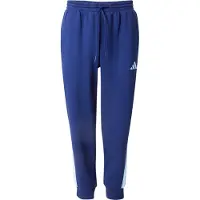 Adidas Seasonal Essentials Colorblock Pants Bleu S / Regular Homme