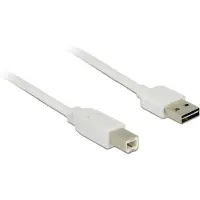 DeLOCK Câble EASY-USB 2.0 connecteur A vers connecteur B, 5 m, blanc, des deux côtés