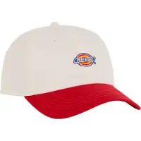 Dickies Hardwick Two Tone Cap Blanc