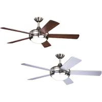 Aire Ryder Ventilateur avec lumière et télécommande FN75539