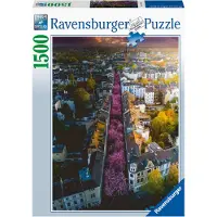 Ravensburger Bonn en fleurs 17104