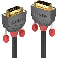 Lindy Dual Link Dvi Cable 20 M Argenté