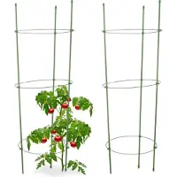 Relaxdays La tomate comme aide à l'escalade (28 cm, 28 cm)