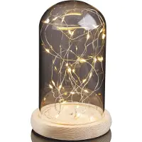 Hellum Cloche en verre avec guirlande lumineuse LED et socle en bois, dôme amovible, 30 LED, minuterie 523713