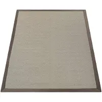 Paco Home Tapis d'intérieur et d'extérieur Tapis de balcon Tapis de cuisine Aspect sisal Couleur unie Beige Marron Dimensions 120 x 170 cm