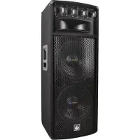 Dibeisi Enceinte de scène 300W RMS 800W MAX Q1240
