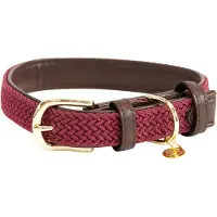 Kentucky Nylon Plaited Dog Collar Marron 28 cm
