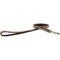 Kentucky Nylon Plaited Dog Leash 15 Mm Doré 15 mm x 120 cm
