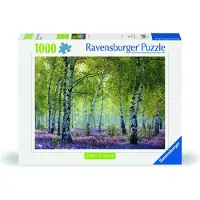 Ravensburger Forêt de bouleaux