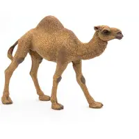 Papo Figurine de jeu Dromadaire