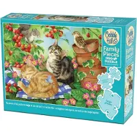 Cobble Hill Puzzle familial Sous le trépied 350 pièces
