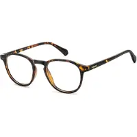 Polaroid Lunettes de Vue PLD D561 48/20/145 Havana Polyamide frames MAN PLD D561