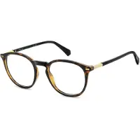 Polaroid Lunettes de Vue PLD D562 51/21/145 Havana Polyamide frames MAN PLD D562