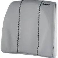 Fellowes Ergonomic Backrest Gris