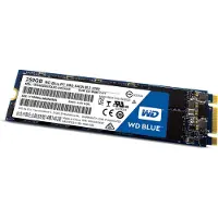 Western Digital WDS250G1B0B SSD 250GB WD Blue M.2 (2280) SATAIII interne bulk