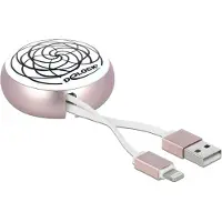 DeLOCK USB 2.0 Type-A vers Lightning 8 broches Câble rétractable