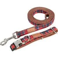 PADU Laisse chien SCOTT bleu foncé 20mm 1,2m Zolux